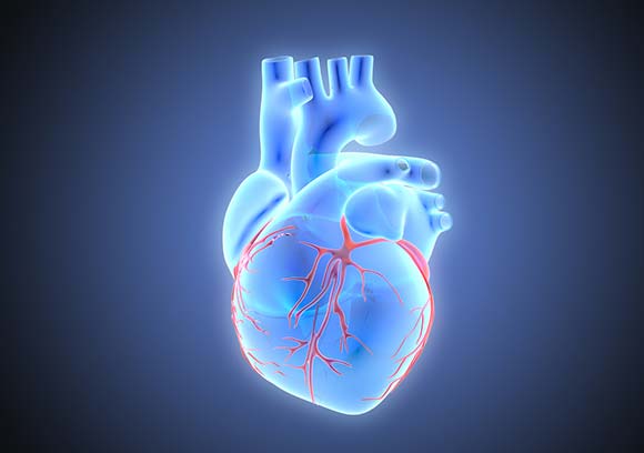 aortic valve repair conditions and treatments