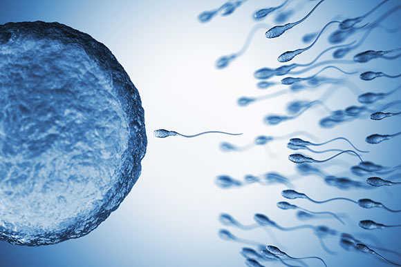 male infertility conditions and treatments
