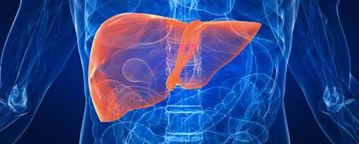 fatty liver conditions and treatments