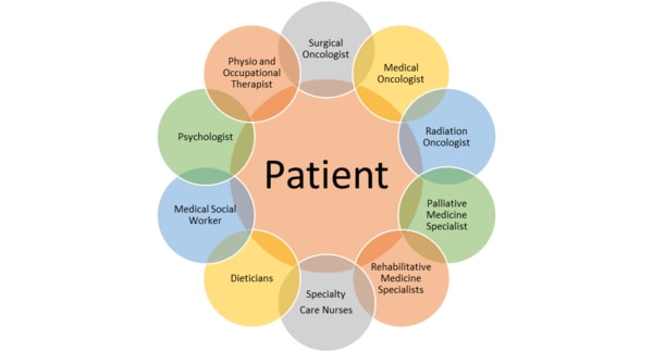 Schematic of multidisciplinary care offered to our palliative patients - NCCS